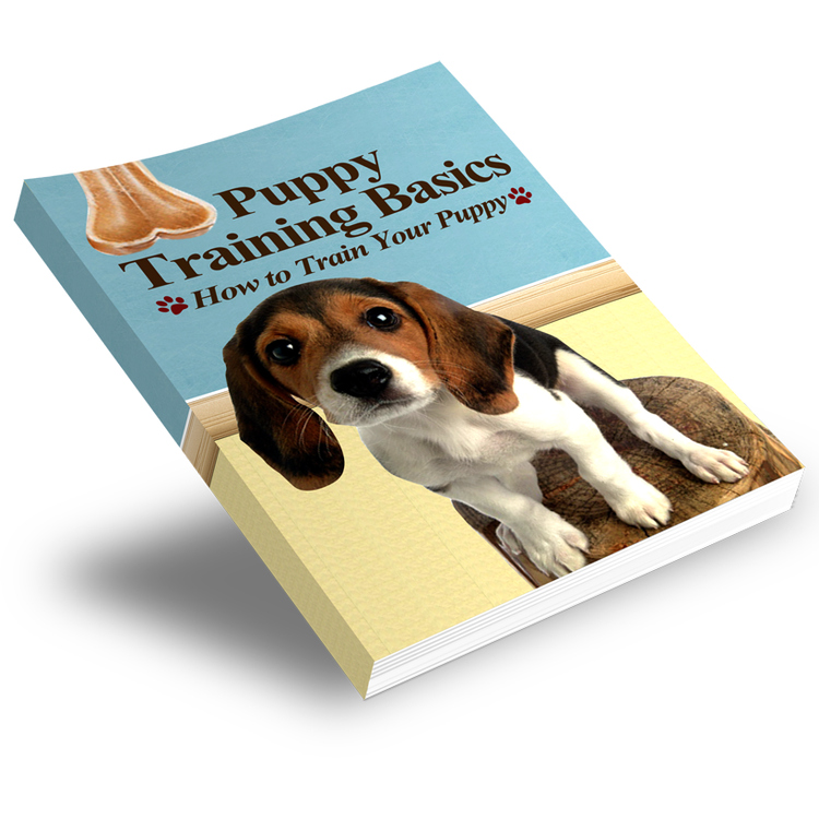 Pawsitively Perfect: Dog Training Essentials and Care Guide Bundle - 5 eBook Bundle - eBook - Instant Download - Magdasmall