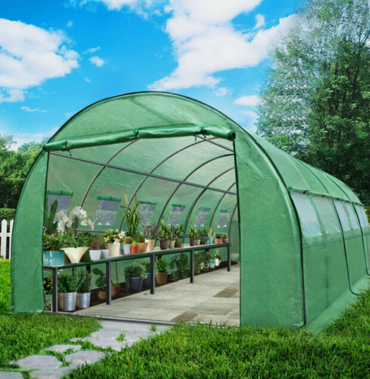 Greenhouses & Cold Frames