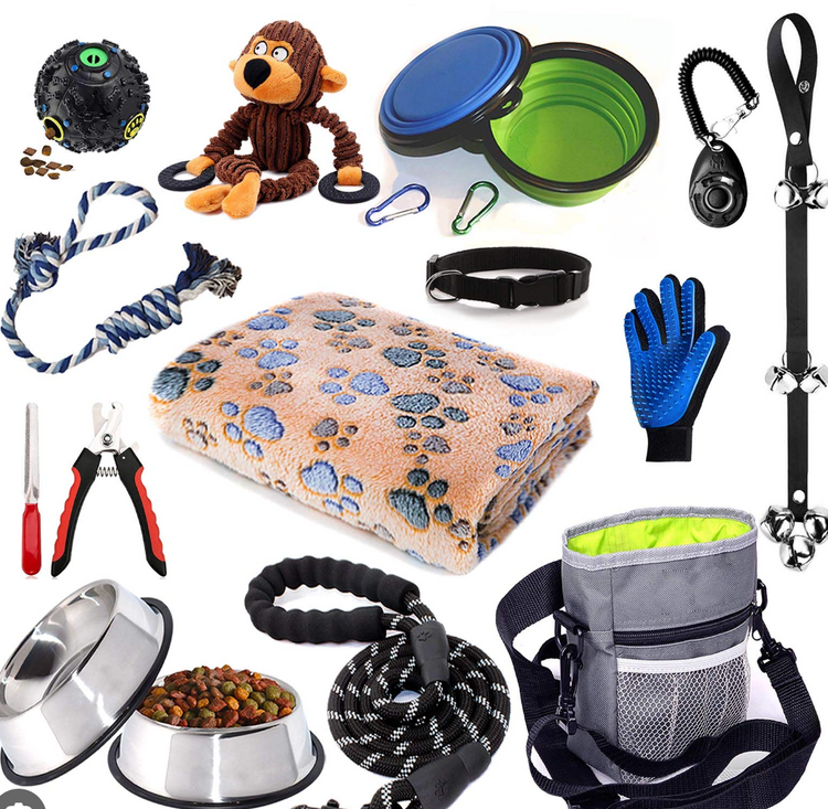 Other Pet Accessories