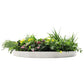 Slimline Artificial Green Wall Disc Art 60cm Country Fern UV Resistant (White)