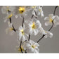 1 Set of 50cm H 20 LED White Frangipani Tree Branch Stem Fairy Light Wedding Event Party Function Table Vase Centrepiece Decoration