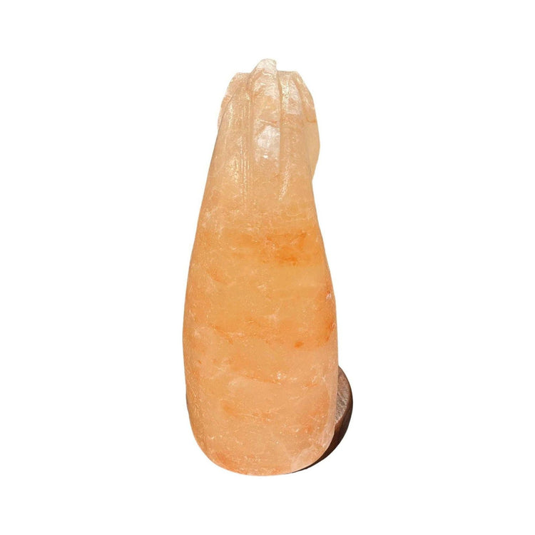12V 12W Horse Himalayan Pink Salt Lamp Carved Knight Rock Crystal Light Bulb On/Off - Magdasmall