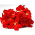 1 Set of 20 LED Deep Red Frangipani Flower Battery String Lights Christmas Gift Home Wedding Party Decoration Outdoor Table Garland Wreath - Magdasmall