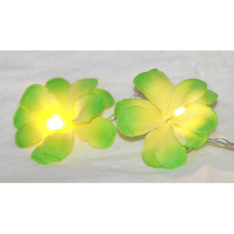 1 Set of 20 LED Green Frangipani Flower Battery String Lights Christmas Gift Home Wedding Party Decoration Outdoor Table Garland Wreath - Magdasmall