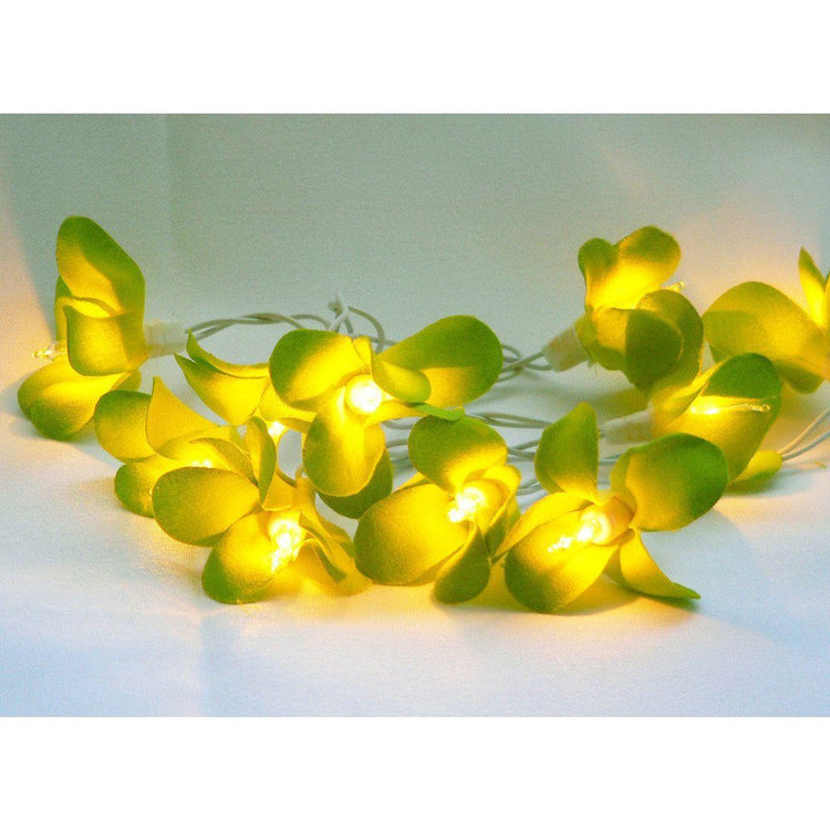 1 Set of 20 LED Green Frangipani Flower Battery String Lights Christmas Gift Home Wedding Party Decoration Outdoor Table Garland Wreath - Magdasmall