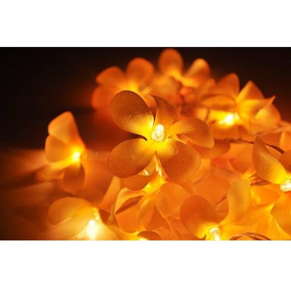 1 Set of 20 LED Orange Frangipani Flower Battery String Lights Christmas Gift Home Wedding Party Decoration Outdoor Table Garland Wreath - Magdasmall