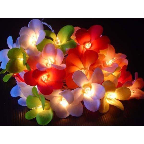 1 Set of 20 LED Tropical Bright Colous Frangipani Flower Battery String Lights Christmas Gift Home Wedding Party Decoration Outdoor Table Centrepiece - Magdasmall