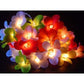 1 Set of 20 LED Tropical Bright Colous Frangipani Flower Battery String Lights Christmas Gift Home Wedding Party Decoration Outdoor Table Centrepiece - Magdasmall