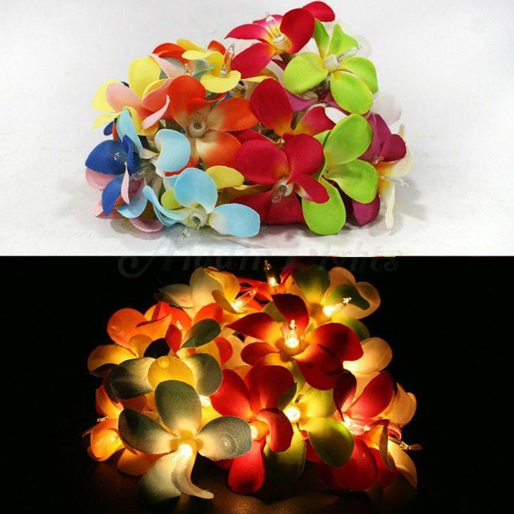 1 Set of 20 LED Tropical Bright Colous Frangipani Flower Battery String Lights Christmas Gift Home Wedding Party Decoration Outdoor Table Centrepiece - Magdasmall