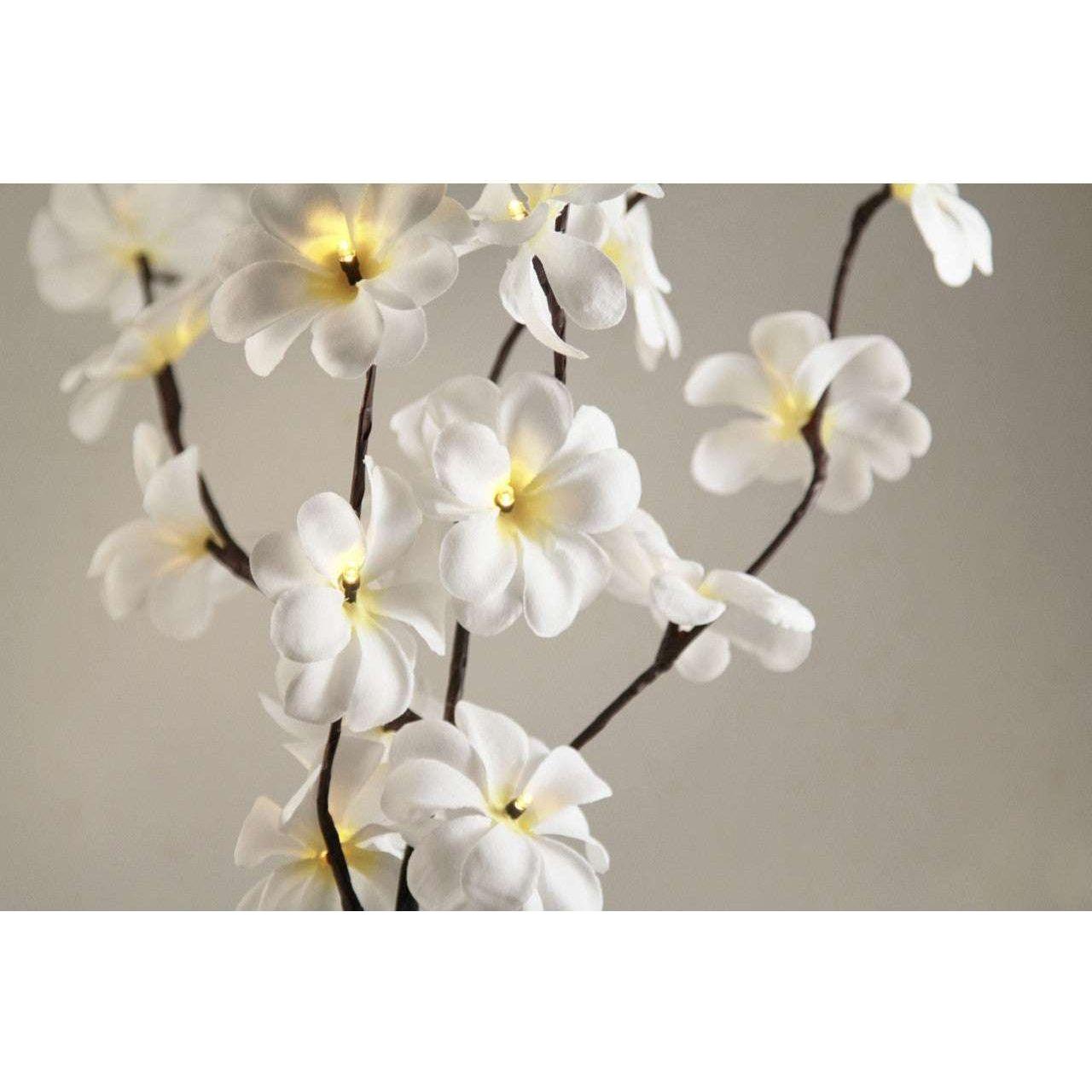 1 Set of 50cm H 20 LED White Frangipani Tree Branch Stem Fairy Light Wedding Event Party Function Table Vase Centrepiece Decoration - Magdasmall