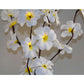 1 Set of 50cm H 20 LED White Frangipani Tree Branch Stem Fairy Light Wedding Event Party Function Table Vase Centrepiece Decoration - Magdasmall