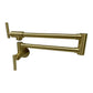 2023 Brushed Gold Kitchen tap Wall Mounted Pot Filler Single Cold Water inlet - Magdasmall