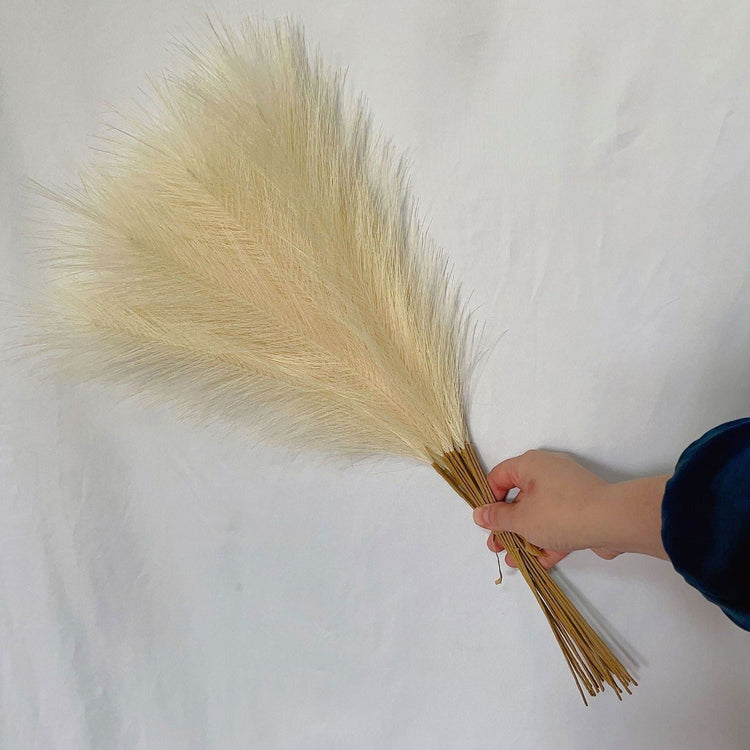 20 sticks Natural Beige Pampas Grass Bouquet-21.65" Fluffy Dried Pampas for Home Decor and Events - Magdasmall