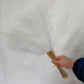 20 sticks Natural White Pampas Grass Bouquet - 21.65&