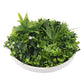 Flowering White Artificial Green Wall Disc UV Resistant 50cm (White Frame)