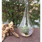 25 Bulk Pack of Hanging Clear Glass Tealight Candle Holder Tear Drop Pear Shape - 12cm High - Terrarium Plant Mini Garden Holder Decor - Magdasmall