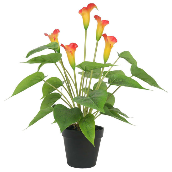 Artificial Flowering White & Orange Peace Lily / Calla Lily Plant 50cm