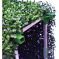 Portable Artificial Boxwood Hedge UV Resistant 25cm High 100cm Long