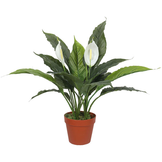 Artificial Spathiphyllum Peace Lily Plant With White Flowers 60cm