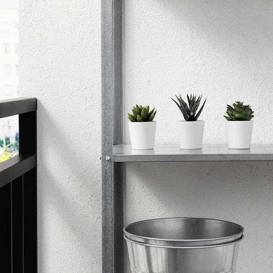 3 Pack of Artificial Succulent Potted Plants in White Plastic 6cm Pot Interior Decoration - Magdasmall
