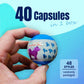40X Geometric Translucent Dog Toy Capsules 50mm Collectible Gacha in Display Box - Magdasmall