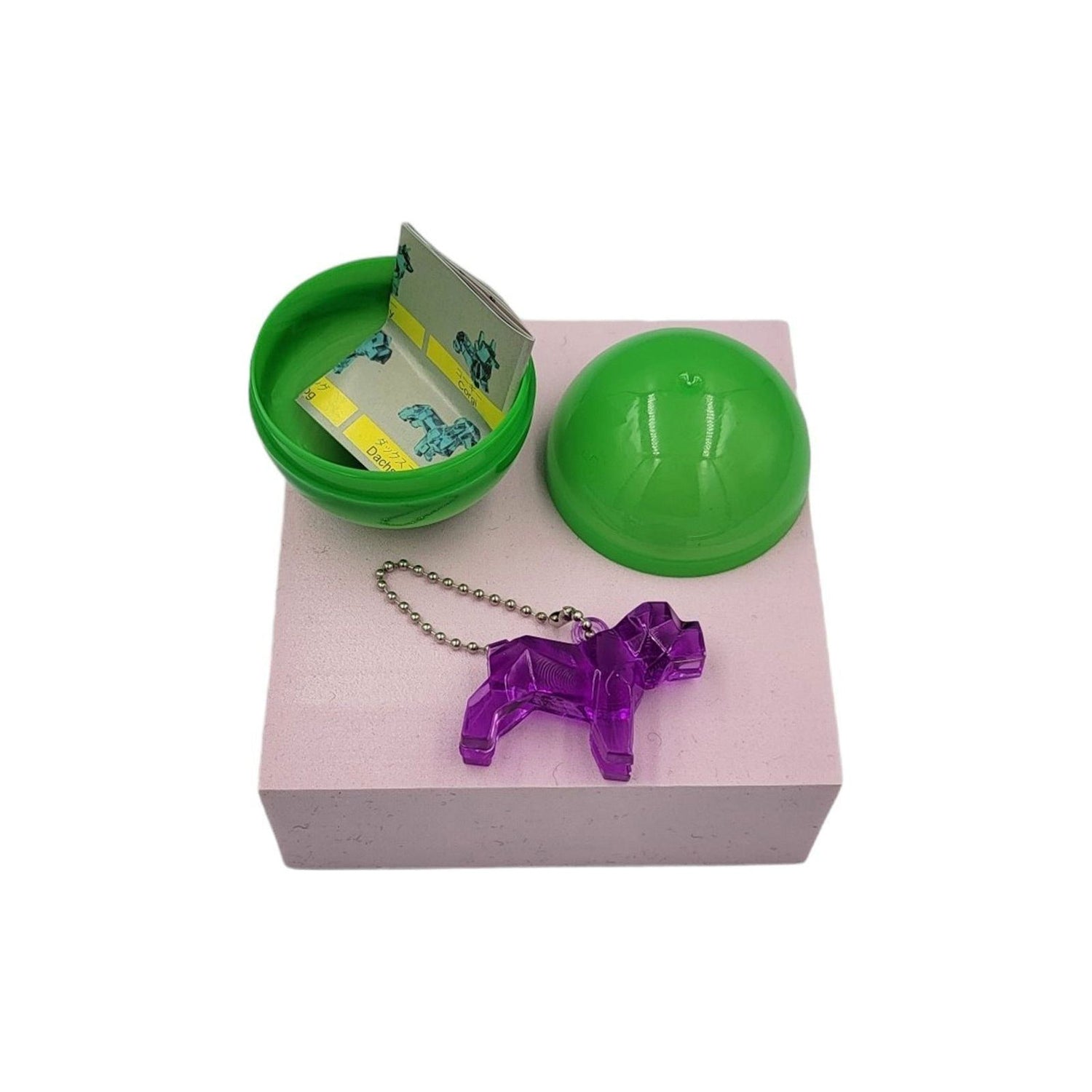 40X Geometric Translucent Dog Toy Capsules 50mm Collectible Gacha in Display Box - Magdasmall