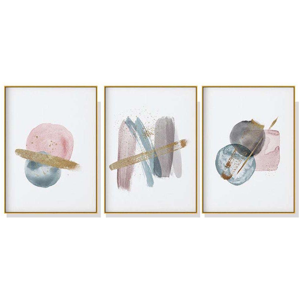 40cmx60cm Blush Pink Watercolor 3 Sets Gold Frame Canvas Wall Art - Magdasmall