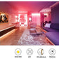5050 RGB LED Strip Lights Waterproof SMD 300 IP65 5m 12V 44key IR Controller - Magdasmall