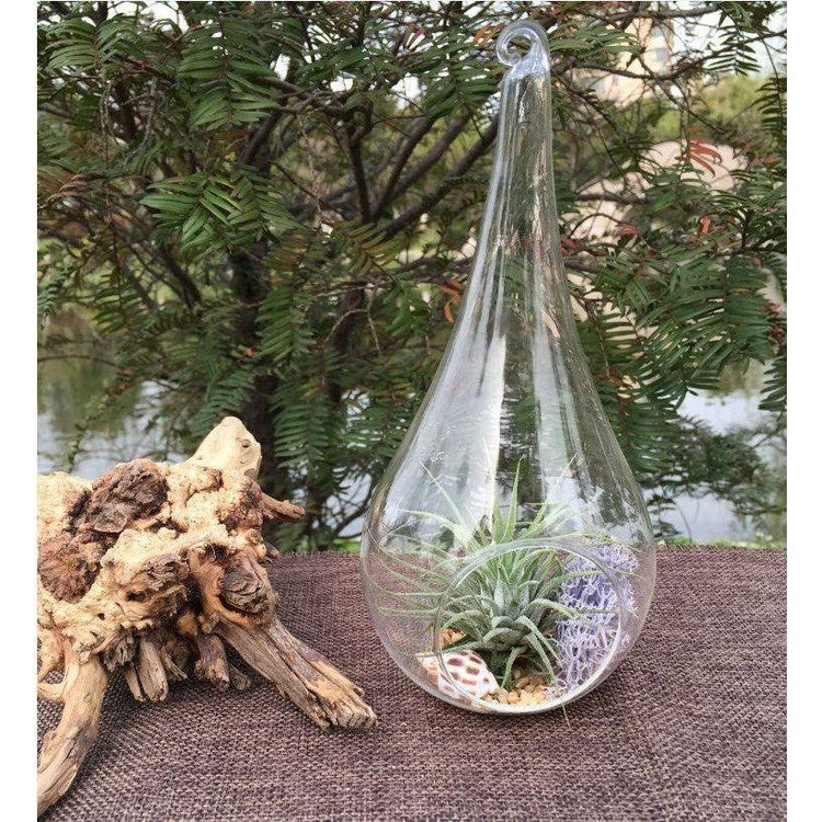 50 Wholesale Pack of Hanging Clear Glass Tealight Candle Holder Tear Drop Pear Shape - 12cm High - Terrarium Plant Mini Garden Holder Decor - Magdasmall