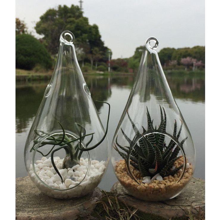 50 Wholesale Pack of Hanging Clear Glass Tealight Candle Holder Tear Drop Pear Shape - 12cm High - Terrarium Plant Mini Garden Holder Decor - Magdasmall