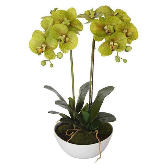 50cm Flowering Artificial Potted Orchid - Multi Stem