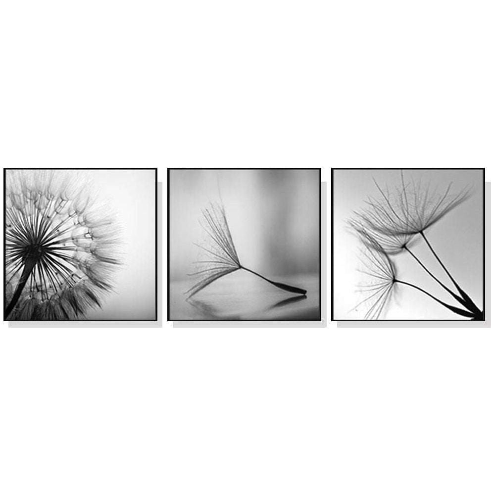 50cmx50cm Botanical dandelions 3 Sets Black Frame Canvas Wall Art - Magdasmall