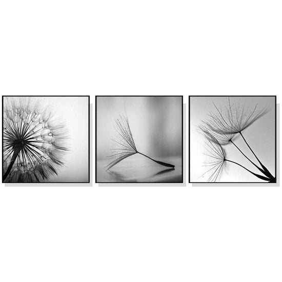 50cmx50cm Botanical dandelions 3 Sets Black Frame Canvas Wall Art - Magdasmall