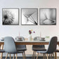 50cmx50cm Botanical dandelions 3 Sets Black Frame Canvas Wall Art - Magdasmall