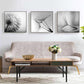 50cmx50cm Botanical dandelions 3 Sets Black Frame Canvas Wall Art - Magdasmall