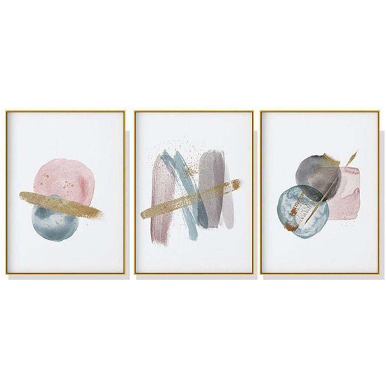 50cmx70cm Blush Pink Watercolor 3 Sets Gold Frame Canvas Wall Art - Magdasmall