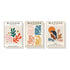 50cmx70cm Matisse Wall Art 3 Sets Wood Frame Canvas - Magdasmall