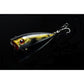 5X 6cm Popper Poppers Fishing Lure Lures Surface Tackle Fresh Saltwater - Magdasmall