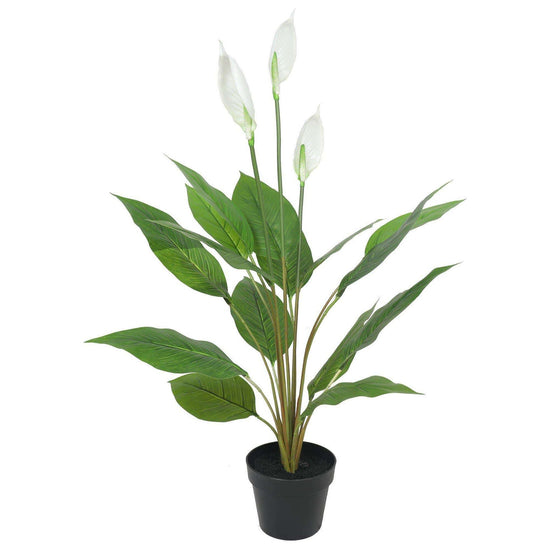 Artificial Flowering White Peace Lily / Calla Lily 95cm