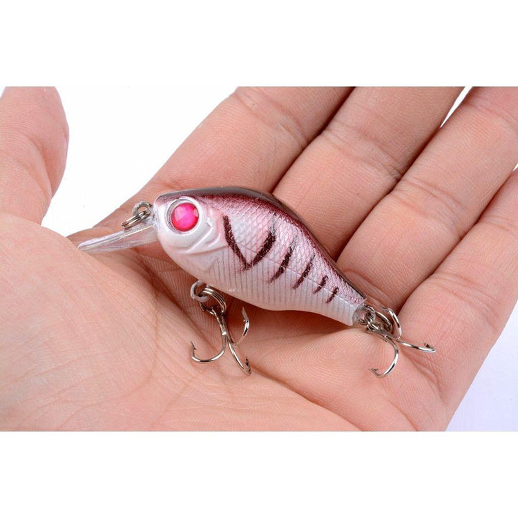5x 5.5cm Popper Crank Bait Fishing Lure Lures Surface Tackle Saltwater - Magdasmall