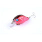 5x 5.5cm Popper Crank Bait Fishing Lure Lures Surface Tackle Saltwater - Magdasmall