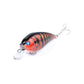 5x 7cm Popper Crank Bait Fishing Lure Lures Surface Tackle Saltwater - Magdasmall
