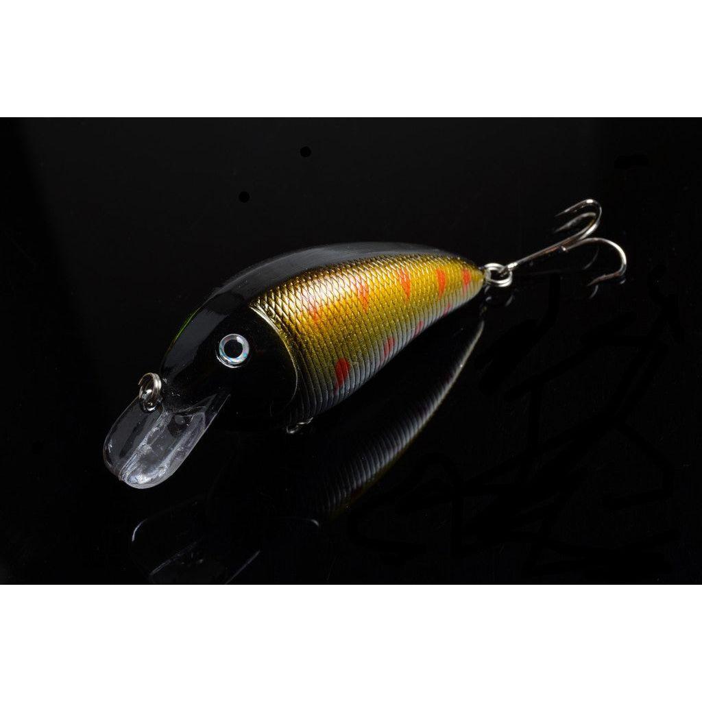 5x 8.5cm Popper Crank Bait Fishing Lure Lures Surface Tackle Saltwater - Magdasmall