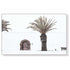 60cmx90cm European Palm Tree White Frame Canvas Wall Art - Magdasmall