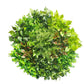 80cm Colour Splash Artificial Vertical Garden Wall Art Disc