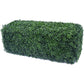 Portable Artificial Boxwood Hedge UV Resistant 25cm High 100cm Long