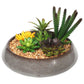 Potted Artificial Succulents With Round Decorative Bowl 19cm