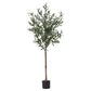 Artiss 155cm Artificial Olive Tree Faux Trees Indoor Decor Artificial Plants Lifelike Plant