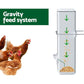 Giantz Chicken Feeder 4L Water Dispenser Automatic Waterer