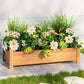 Green Fingers Garden Bed 65x33x16cm Wooden Planter Box Raised Container Growing